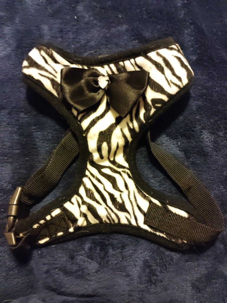 Harness