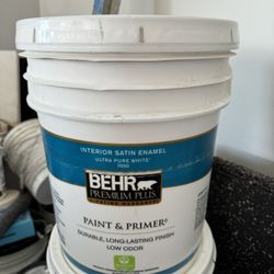 Behr Premium Plus Swiss Coffee