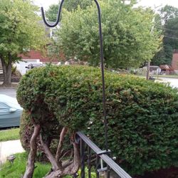 Clamp On Plant Hangers 