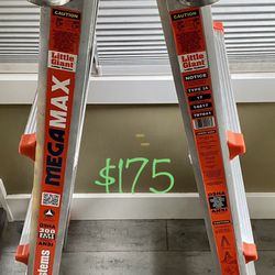 Little Giant Ladder System, 15’