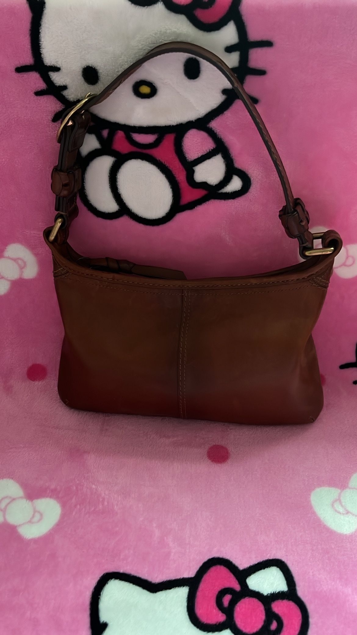 Vintage Coach Bag