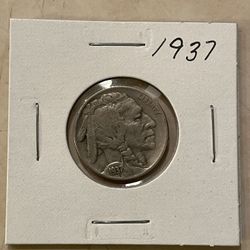 1937 Buffalo Nickel