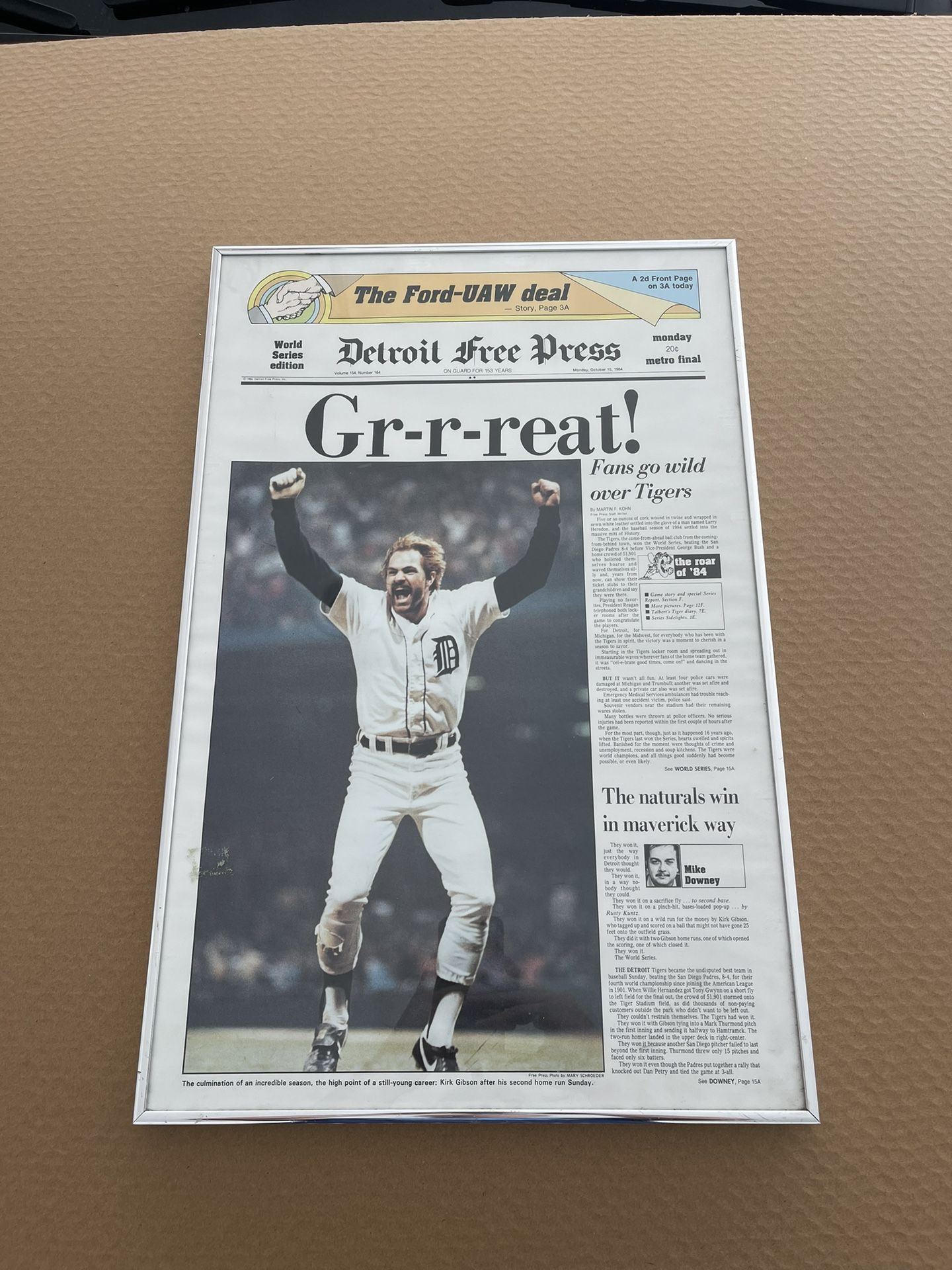 Vintage MLB Tigers Frame