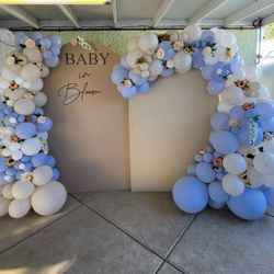 Baby Shower Backdrop