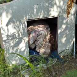 Dog House 