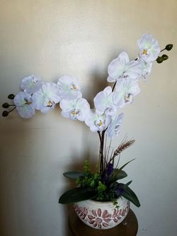 new Orquid plant "Artificial Arrangement "