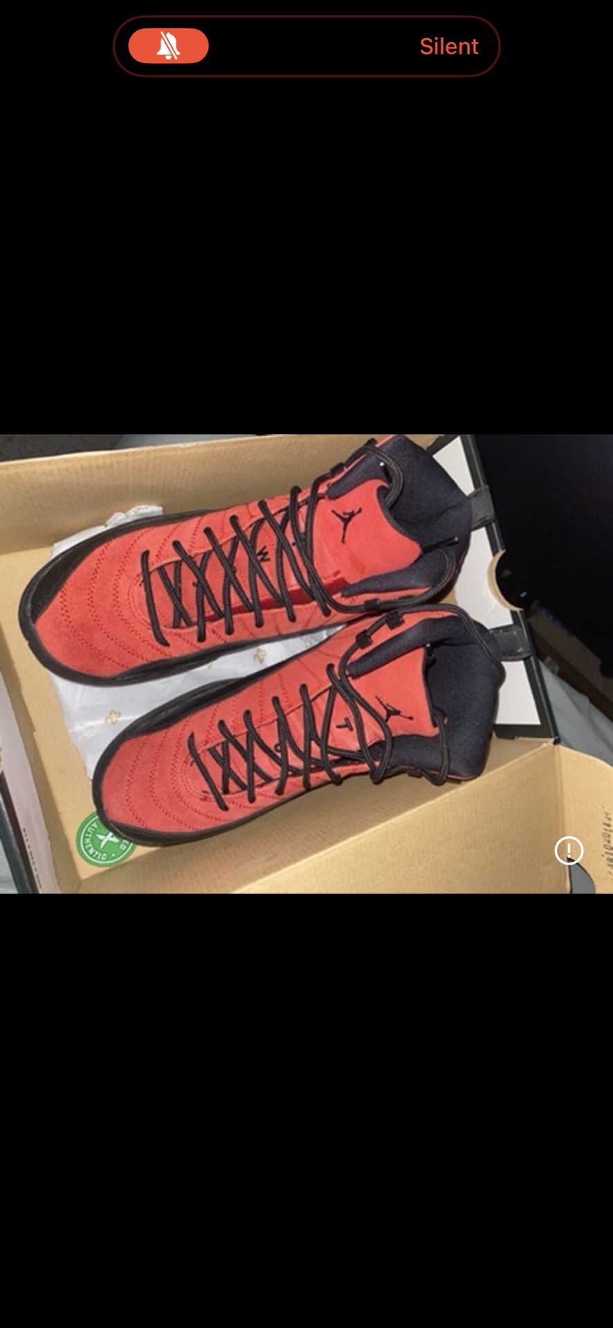 Jordan 12