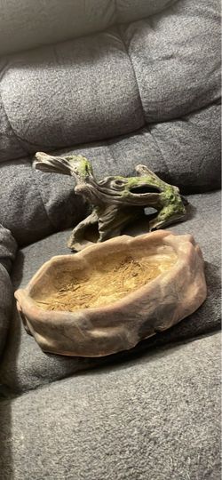 Reptile supplies