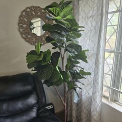 Fiddle Leaf Artificial Tree/  Planta Artificial Hoja De Violin