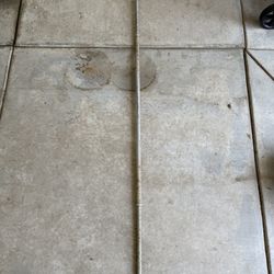 15lb 1’ Barbell for Weight Training