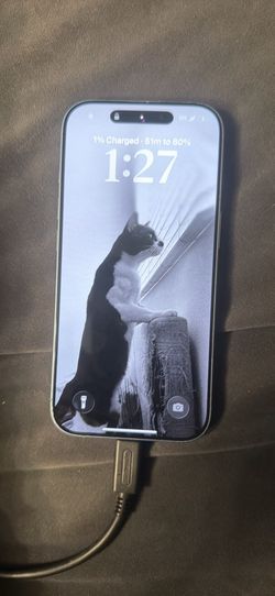 Blue iPhone 17