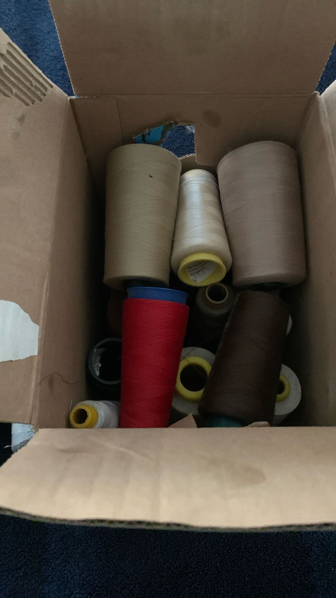 Sewing Thread/ Hilo Para Coser