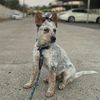 Sam