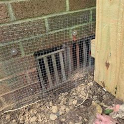 Rodent & Wildlife Exclusion Services – Keep Your Home Animal-Free!