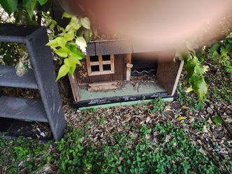 Dog house