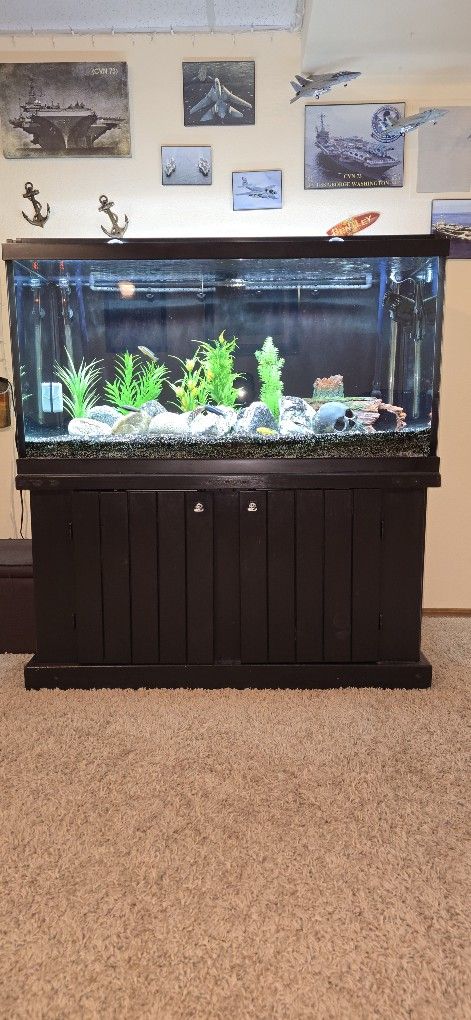 120 Gallon Freshwater Tank