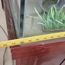 Big Fish Tank With everything 600dlls