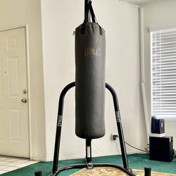 Everlast Punching Bag and Stand