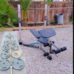 245lb Olympic Weights+ 45lb Barbell+ Bench