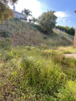 Lawn clean up 🚨 🚨 🍃 🌳