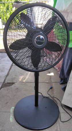 Fan