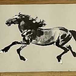 Paintings of birds (prey and predators), horses and plants book