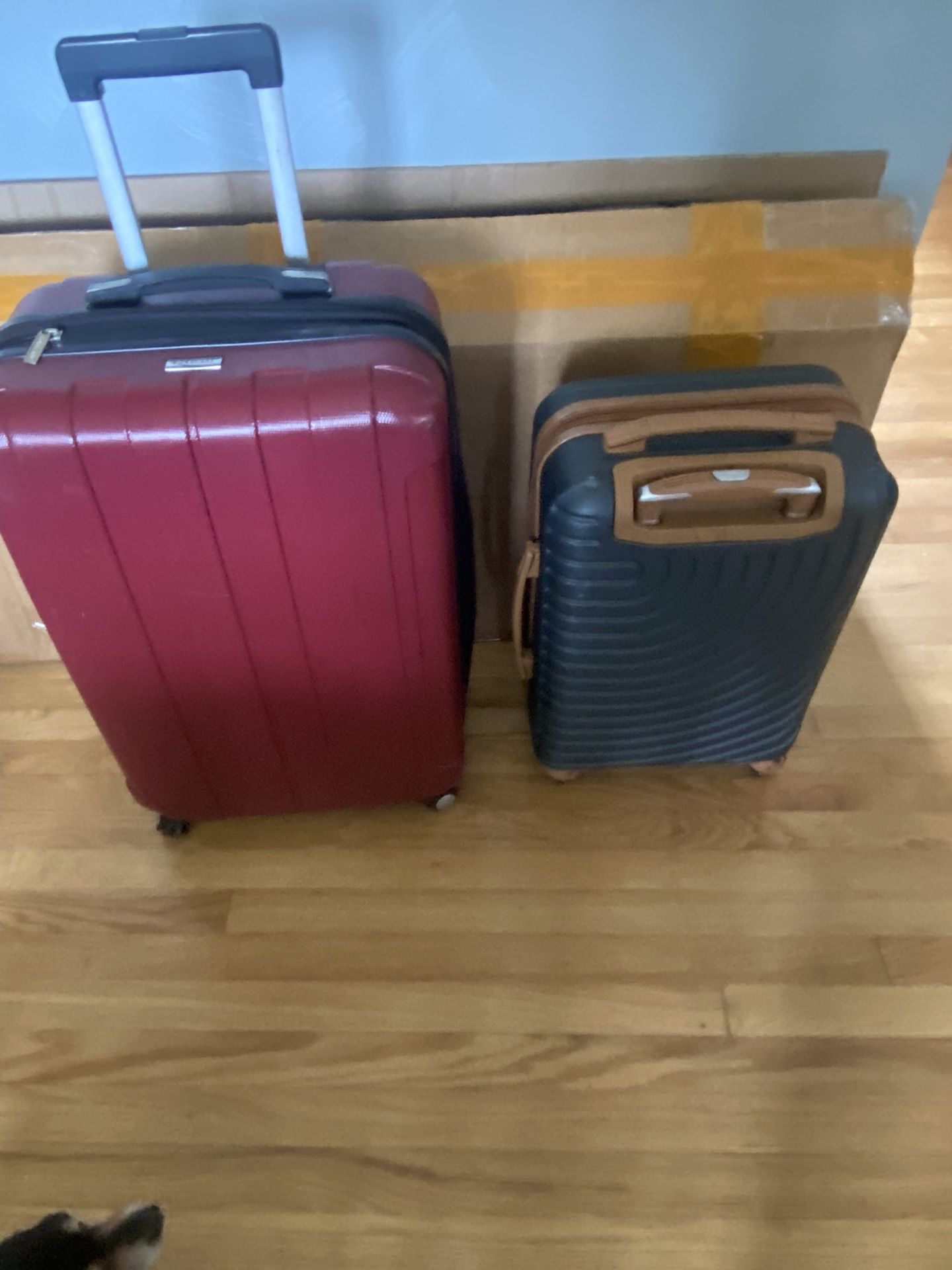Carryon Luggage 