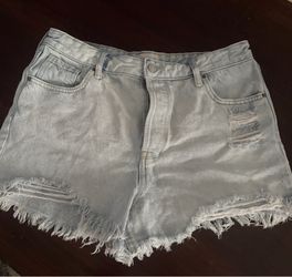 PacSun Pacific Sunwear Shorts