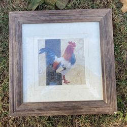 3 Rooster Pictures 