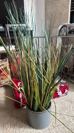 Fake house plant