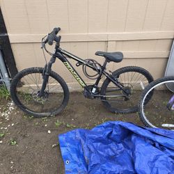 Mongoose Mountain Bike