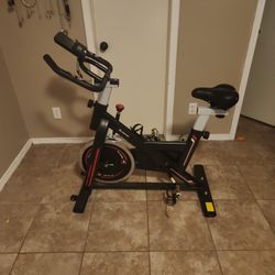 Telesport Excercise Bike