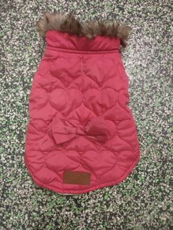 Dog vest