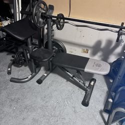 Weight Set With Pull Up And Dip Set 