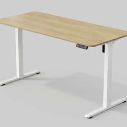 Electric Standing Desk Height Adjustable Desk 2.5 X 5 Foot, 3 Memory Height Ergonomic Sit Stand up Desk for Home Office