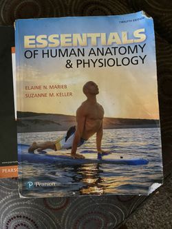 Human Anatomy And Physiology