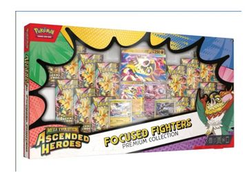 Sam’s Club exclusive Focused Fighters Ascended Heroes