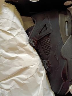 Air Jordan 4 Black Cat