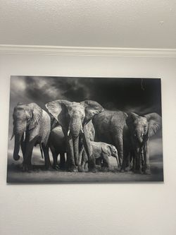 Elephant Art