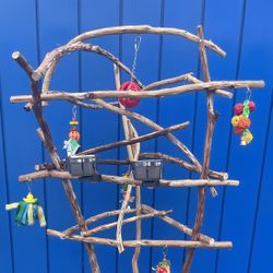 African Grey / Amazon Parrot Perch Tree … Custom Made, Hard Durable Ribbon Wood 🪵 … Lasts For Years!! 