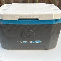 Igloo Cooler