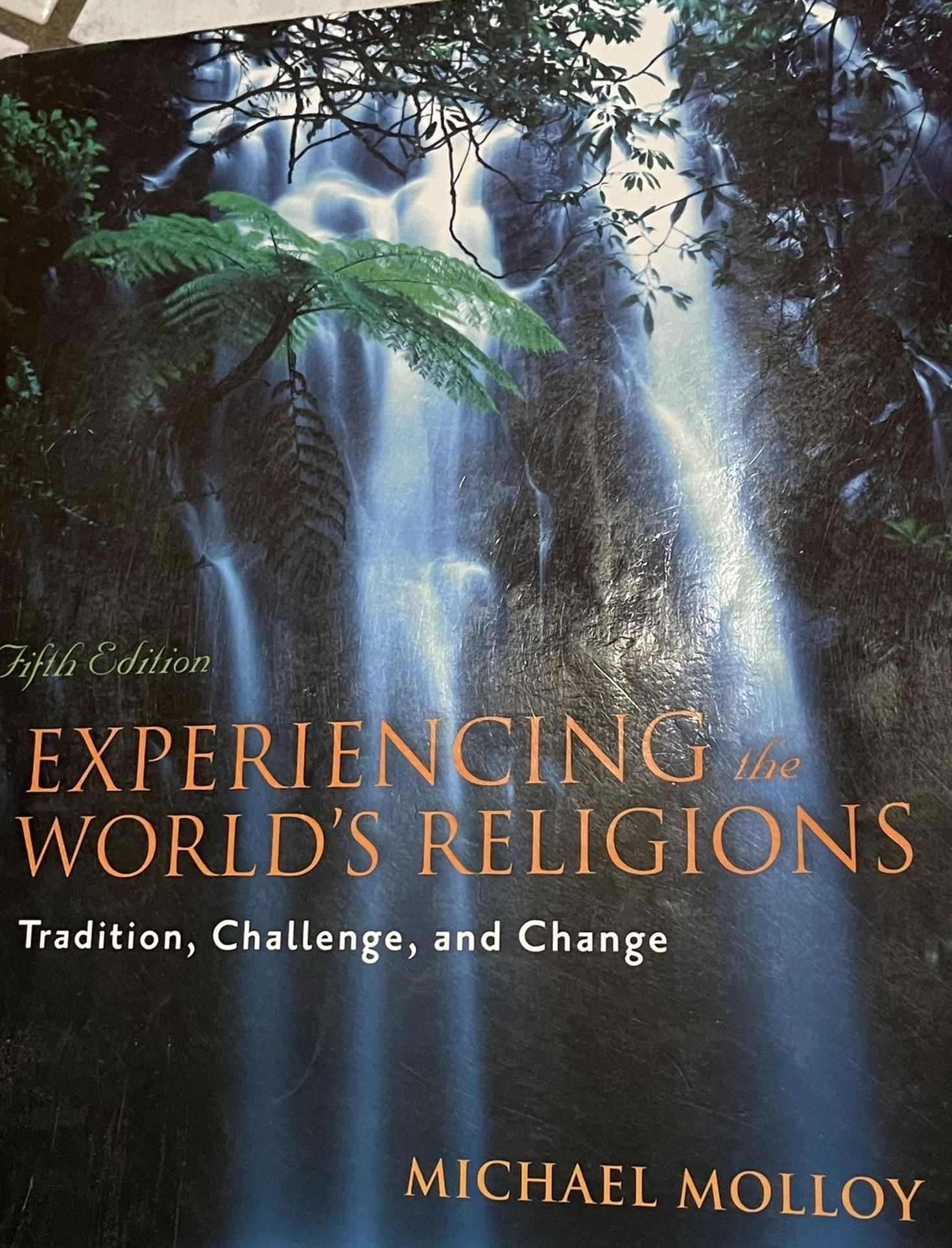 Experiencing World Religions