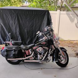 2009 HD Solftail