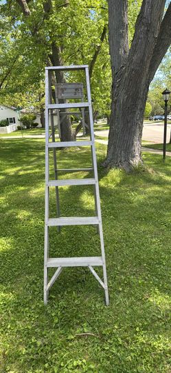 6 Foot Stepladder