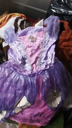 Little girls princess costume