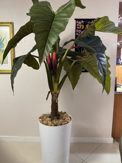 Planta artificial 8:ft