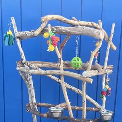 Large Parrot Perch Tree .,,, Hard Durable Ribbon Wood Lasts For Years ! Birdee Fun n Socialization!!