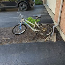 Girls Bike Roadmaster 24 Inch