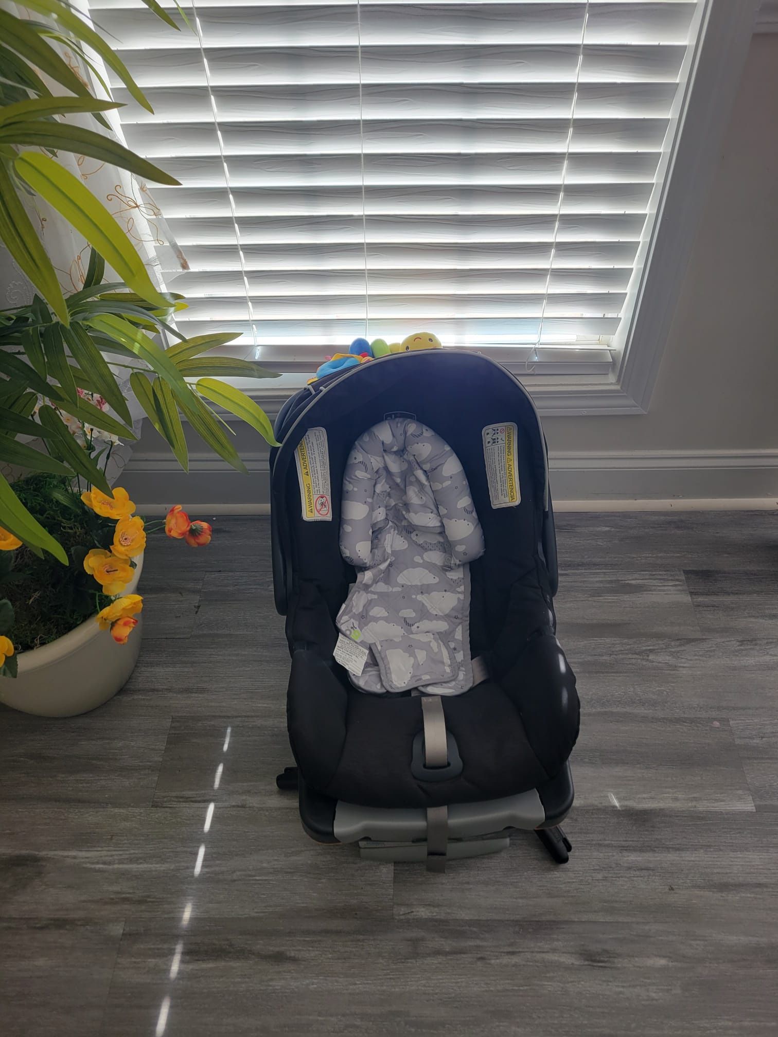 Infant Car Seat