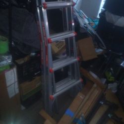 Little Giant Ladder 